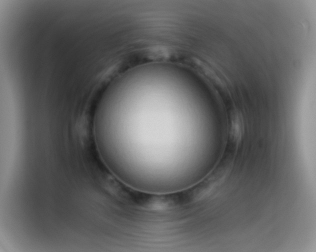 X0000114150616200910081334