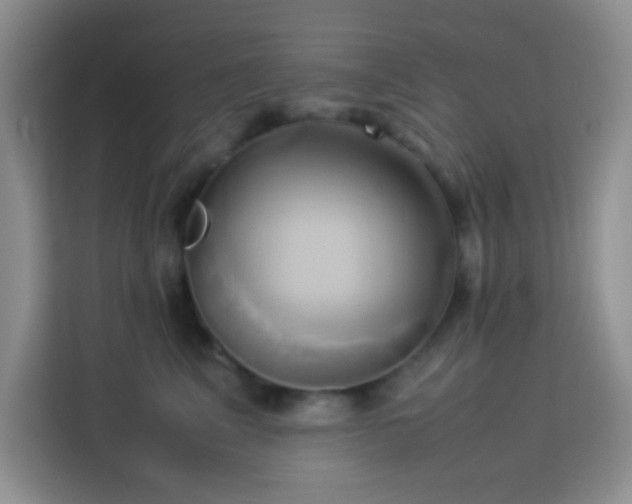 X0000114150617200910081334