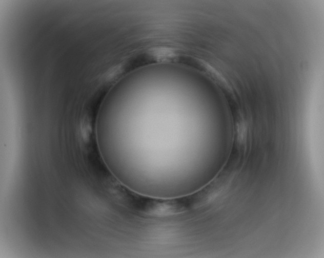 X0000114150618200910081334