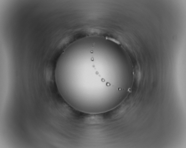 X0000114150619200910081334