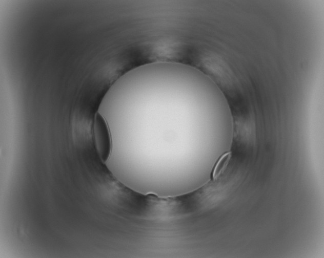 X0000114150621200910081334