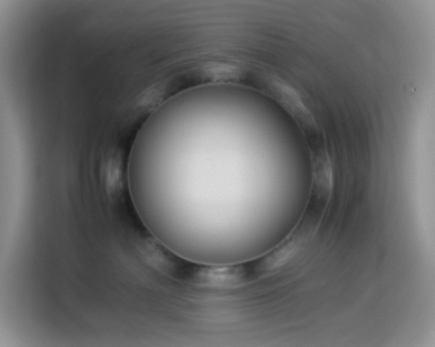 X0000114150622200910081334