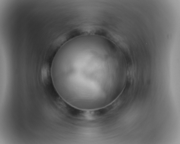X0000114150623200910081334