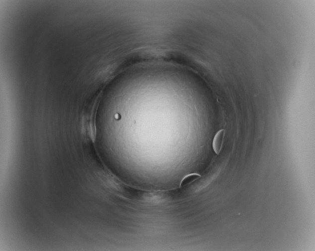 X0000114150624200910081334
