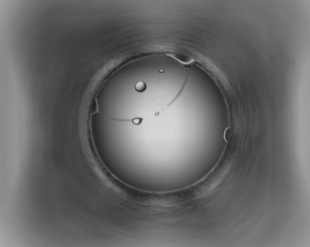 X0000114150625200910081333