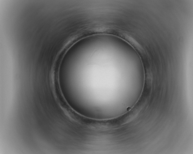 X0000114150626200910081333