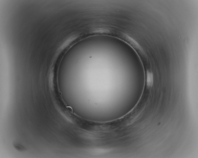 X0000114150627200910081333