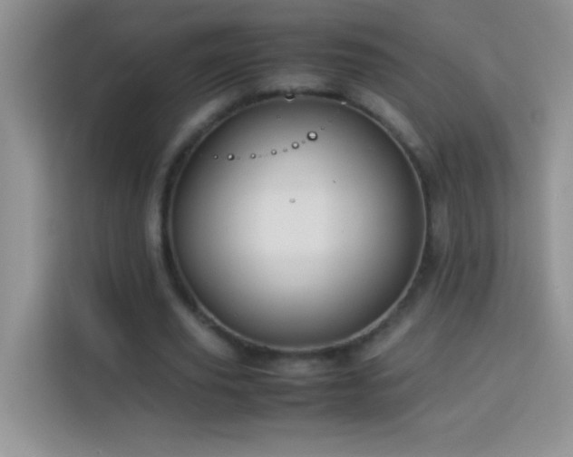 X0000114150629200910081333