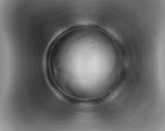X0000114150630200910081333