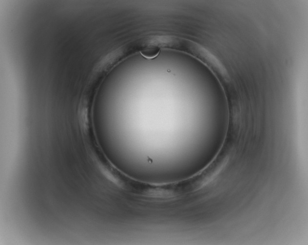 X0000114150633200910081333