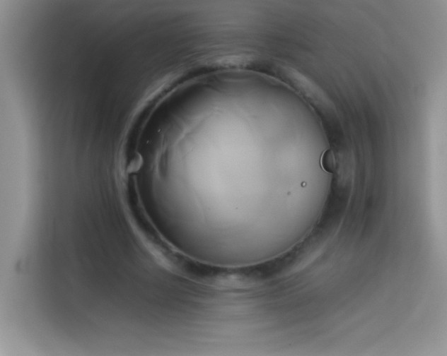 X0000114150634200910081333