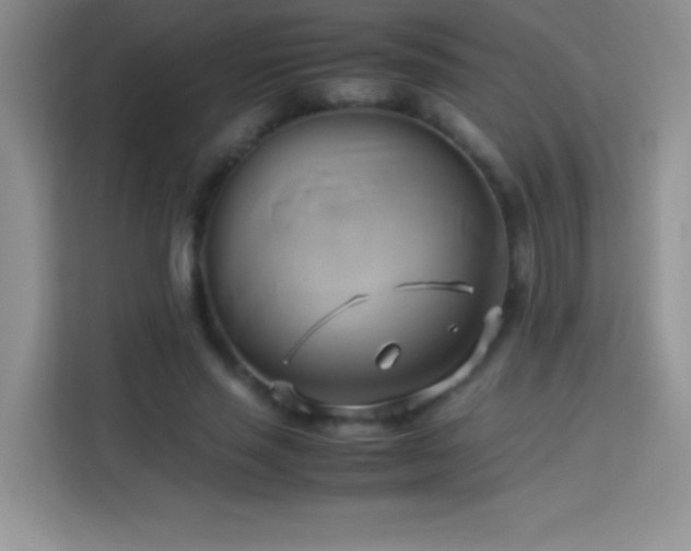 X0000114150637200910081333