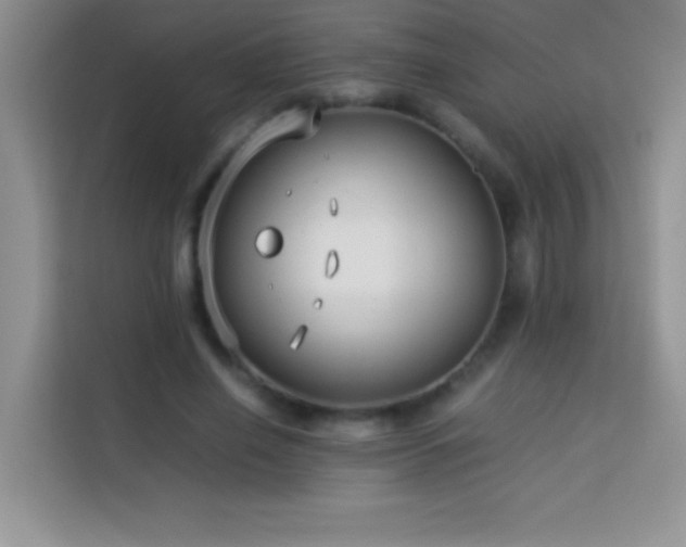 X0000114150638200910081334