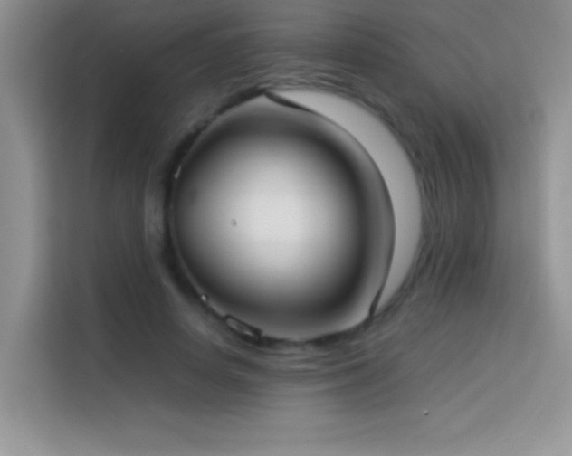 X0000114150642200910081334