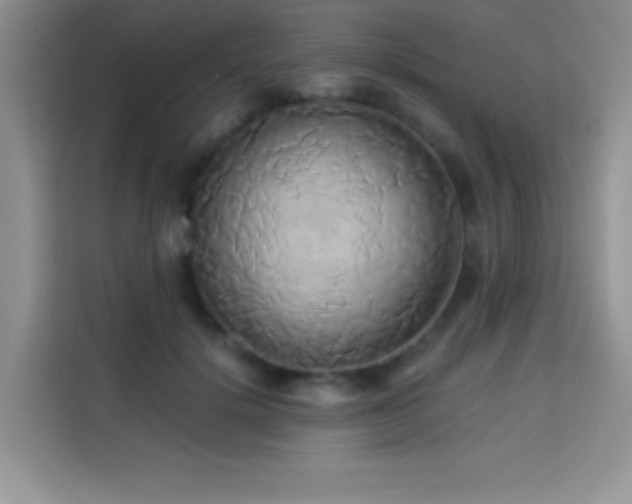 X0000114150652200910081334