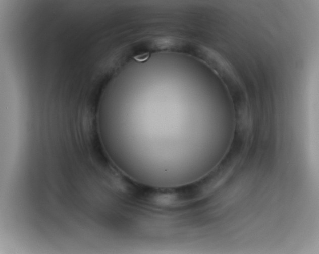 X0000114150653200910081334