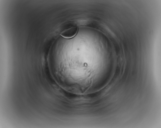 X0000114150655200910081334