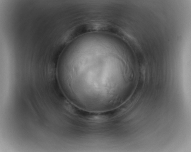 X0000114150657200910081334