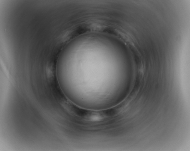 X0000114150663200910081334