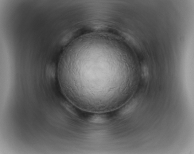 X0000114150664200910081334