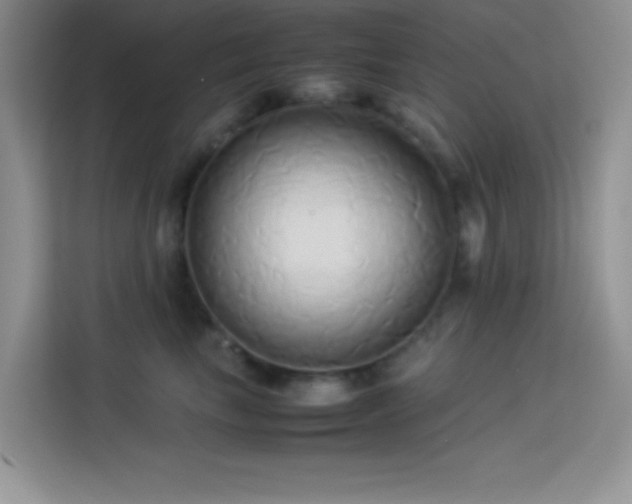 X0000114150665200910081334