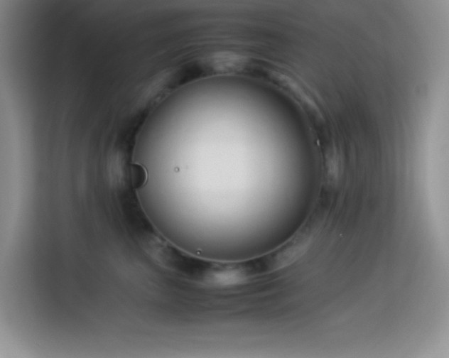 X0000114150667200910081334