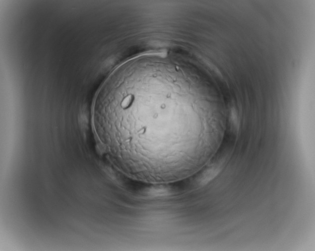 X0000114150668200910081334