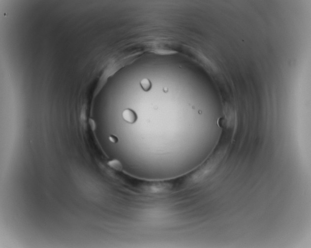 X0000114150670200910081334