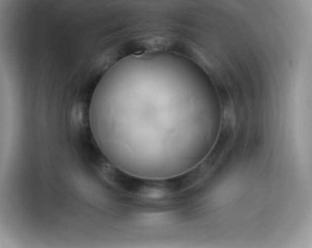 X0000114150671200910081334