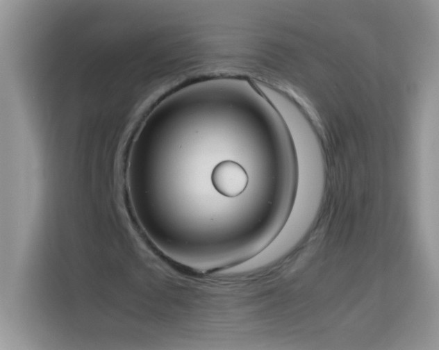 X0000114150673200910081333