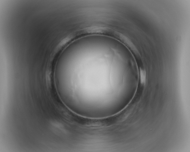 X0000114150675200910081333