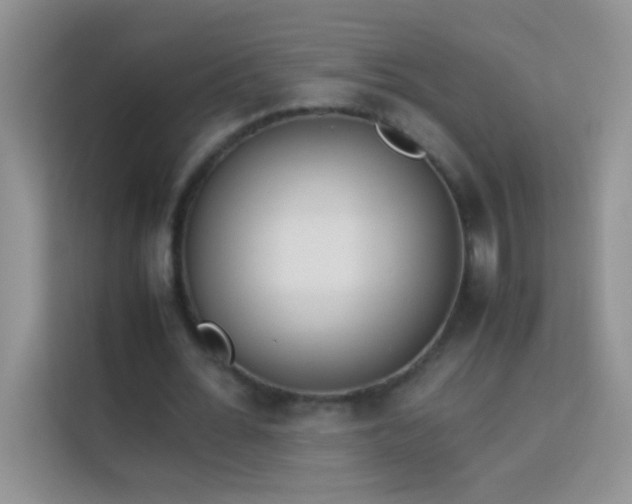 X0000114150676200910081333