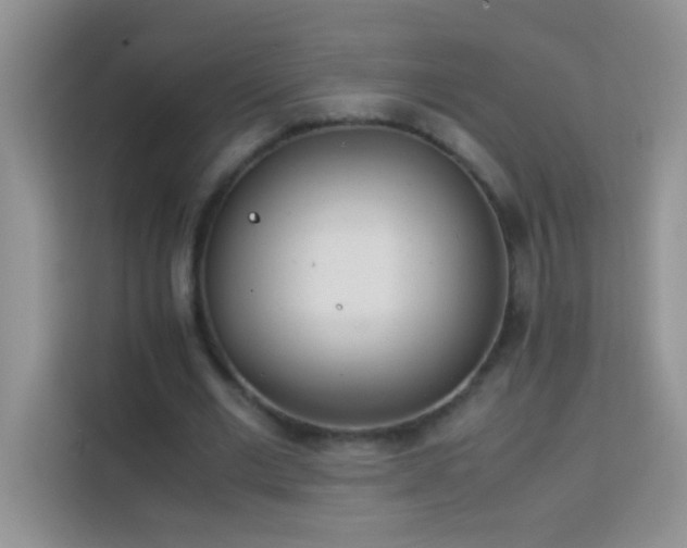 X0000114150677200910081333