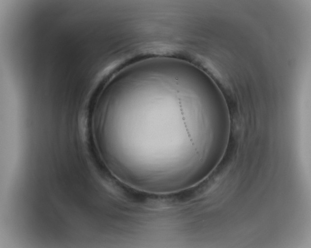 X0000114150679200910081333
