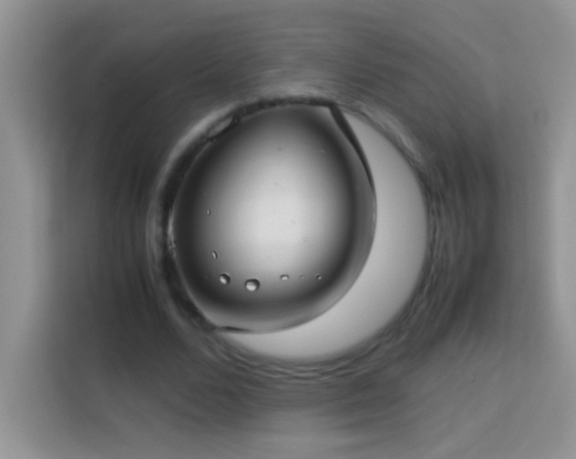 X0000114150680200910081333
