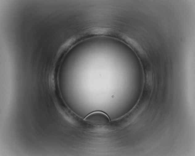 X0000114150682200910081333