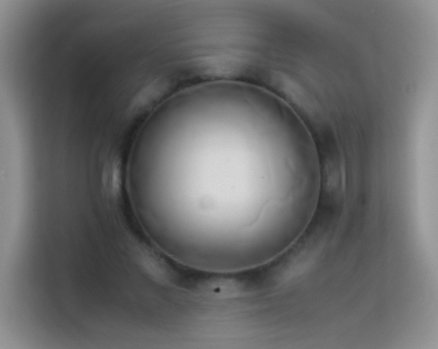 X0000114150685200910081333
