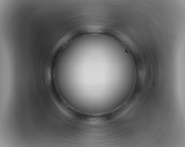 X0000114150686200910081333