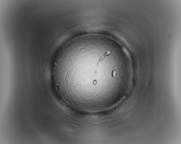 X0000114150687200910081333