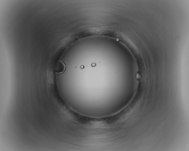 X0000114150689200910081333
