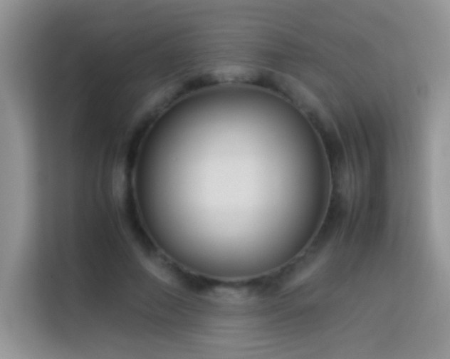 X0000114150690200910081333