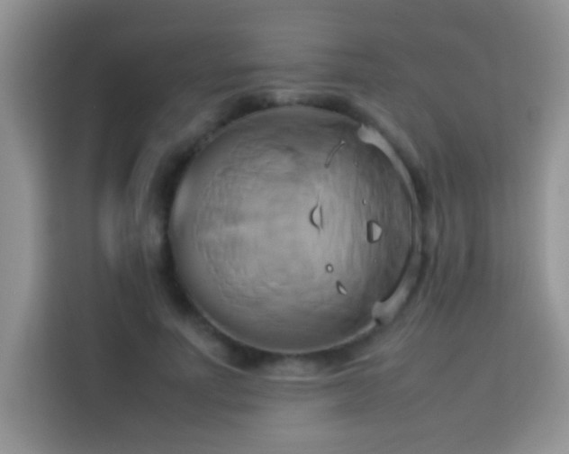 X0000114150691200910081333