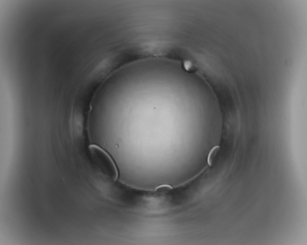 X0000114150693200910081333