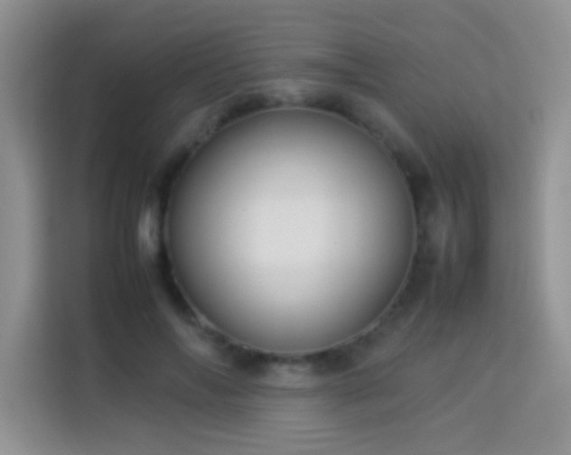 X0000114150694200910081333