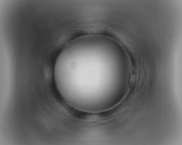 X0000114150695200910081333