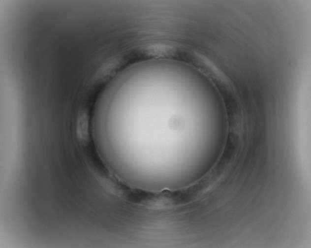 X0000114150696200910081333