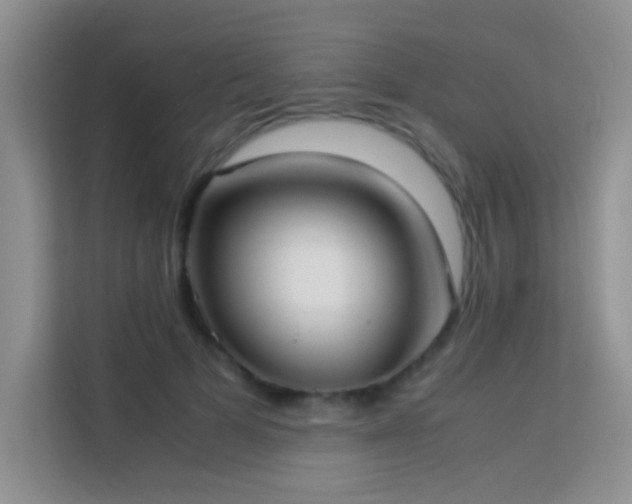 X0000114150697200910081333