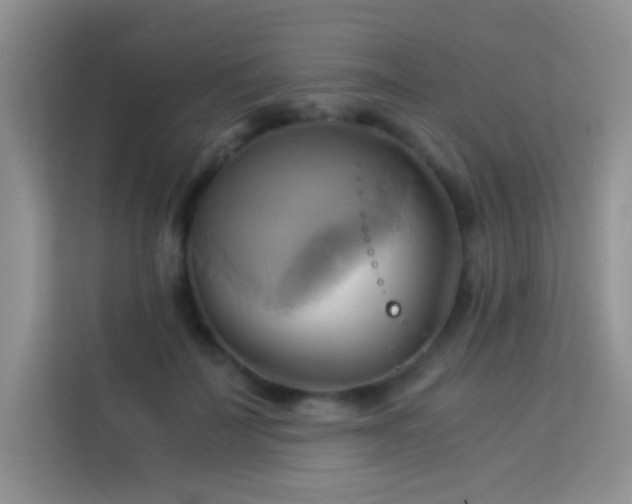 X0000114150699200910081333