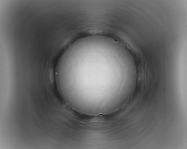 X0000114150700200910081333
