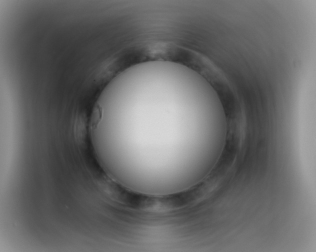X0000114150702200910081333